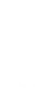 Light Ray Maple Editors